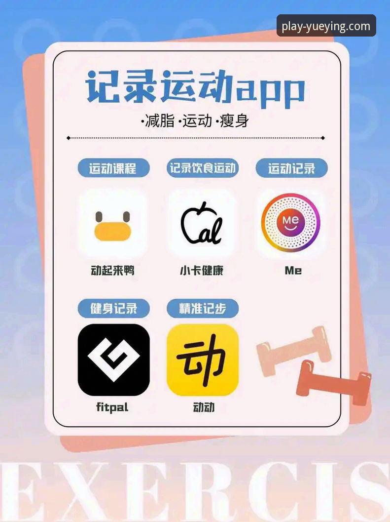 悦盈体育平台在线观看与App使用完整指南