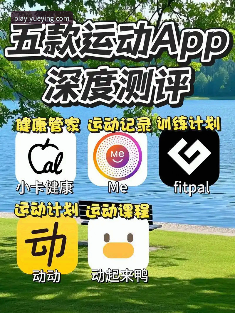 悦盈体育手机版App下载与使用完全指南：从安装到畅享赛事